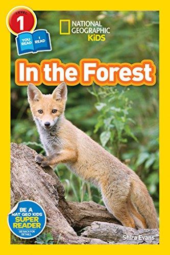 National Geographic Kids - In The Forest Level 1 - Spectrawide Bookstore