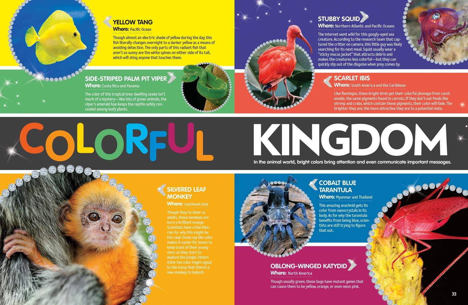 The Big Book of Bling - Ritzy rocks, extravagant animals, sparkling science, and more! - Spectrawide Bookstore