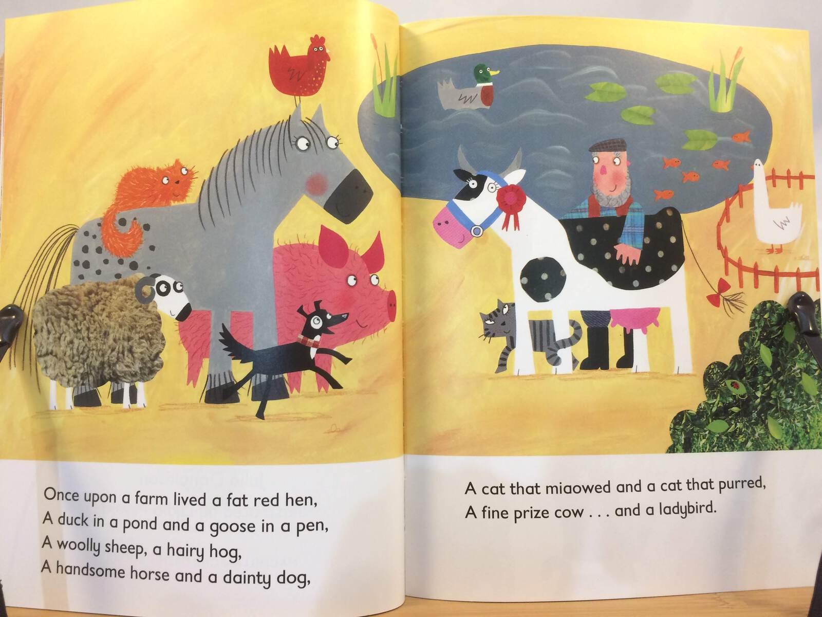 Let's Read! - What The Ladybird Heard - Spectrawide Bookstore