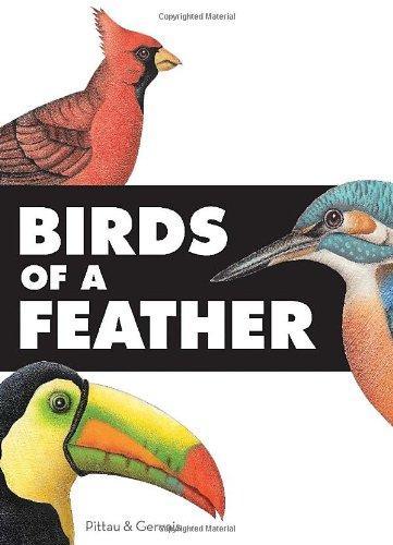 Birds of A Feather - Spectrawide Bookstore