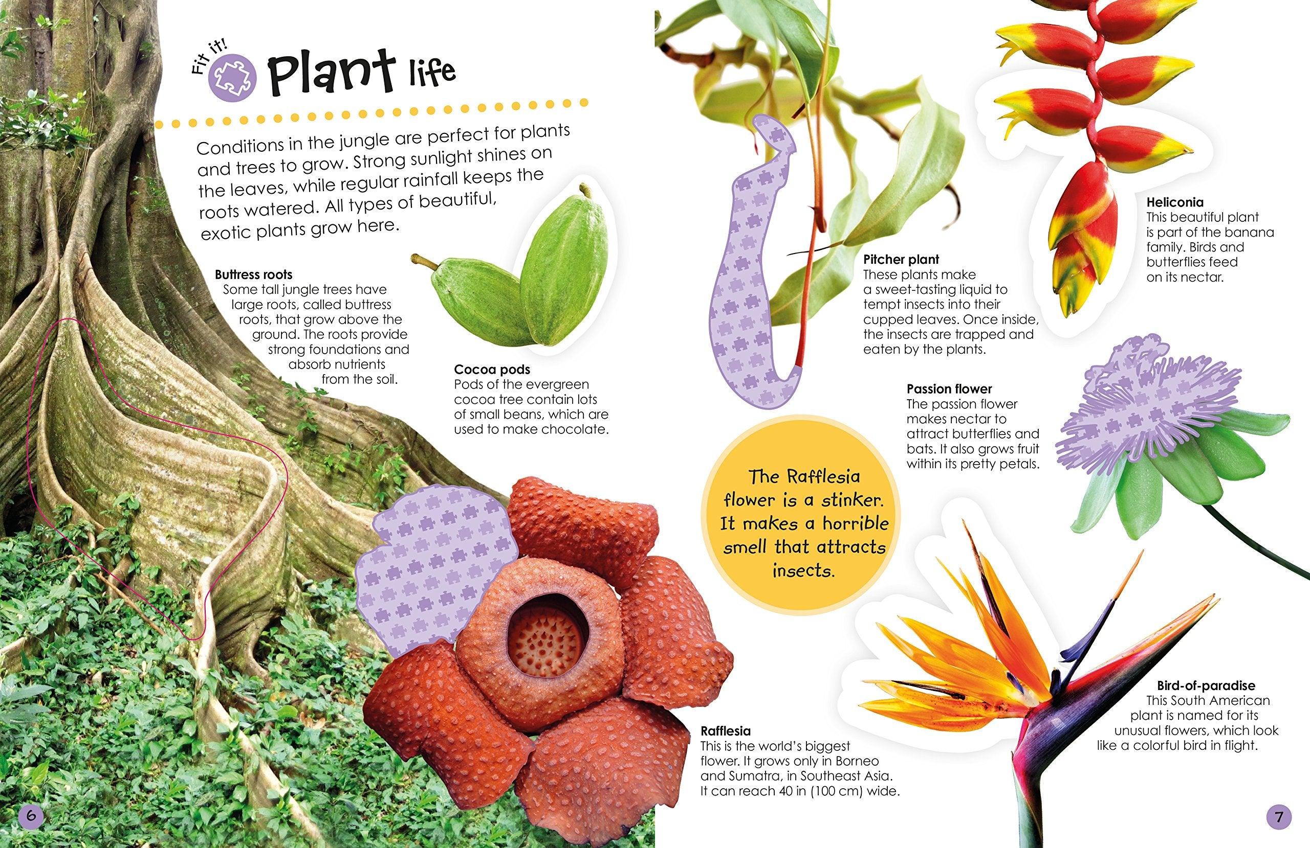 DK - Jungle Ultimate Sticker Book - More Than 250 Reusable Stickers - Spectrawide Bookstore