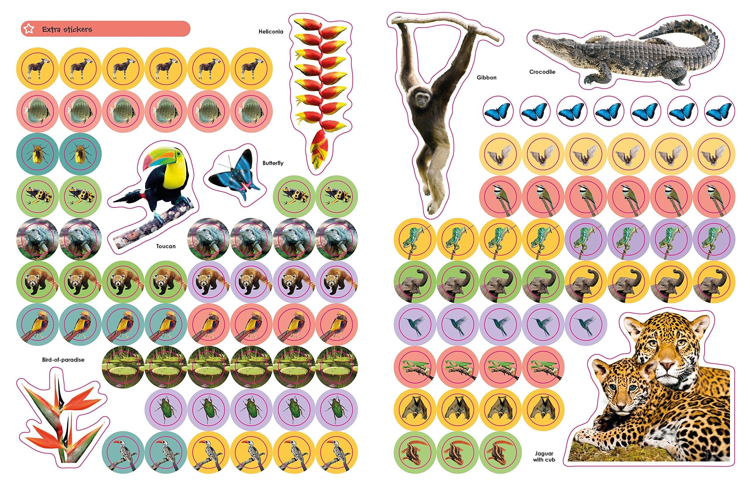 DK - Jungle Ultimate Sticker Book - More Than 250 Reusable Stickers - Spectrawide Bookstore