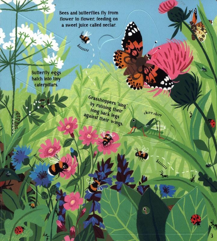 USBORNE - Look Inside - Nature - Spectrawide Bookstore
