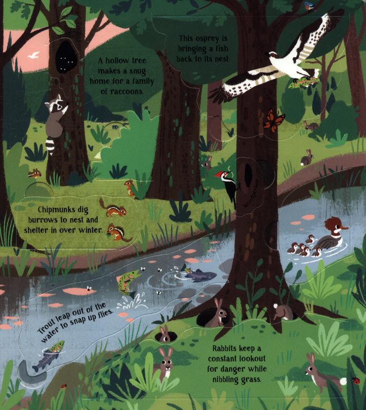 USBORNE - Look Inside - Nature - Spectrawide Bookstore