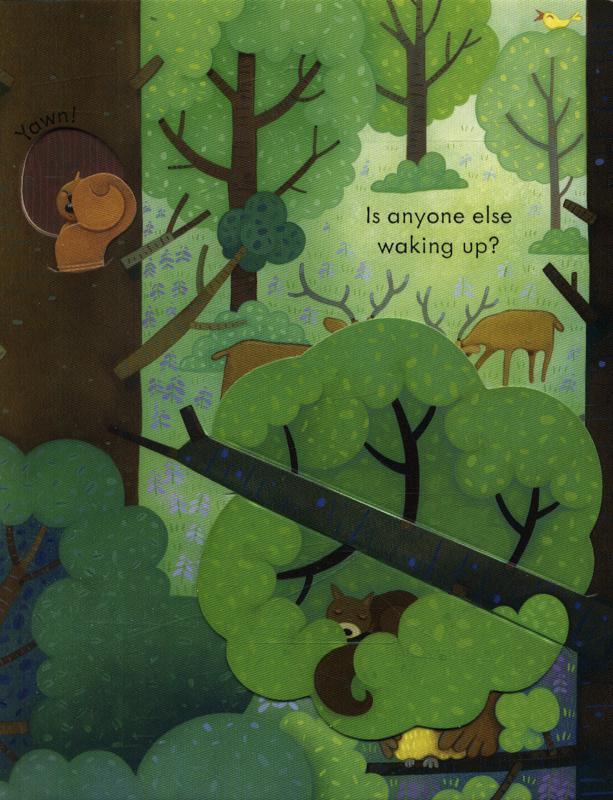 USBORNE - Peep Inside - Forest - Spectrawide Bookstore