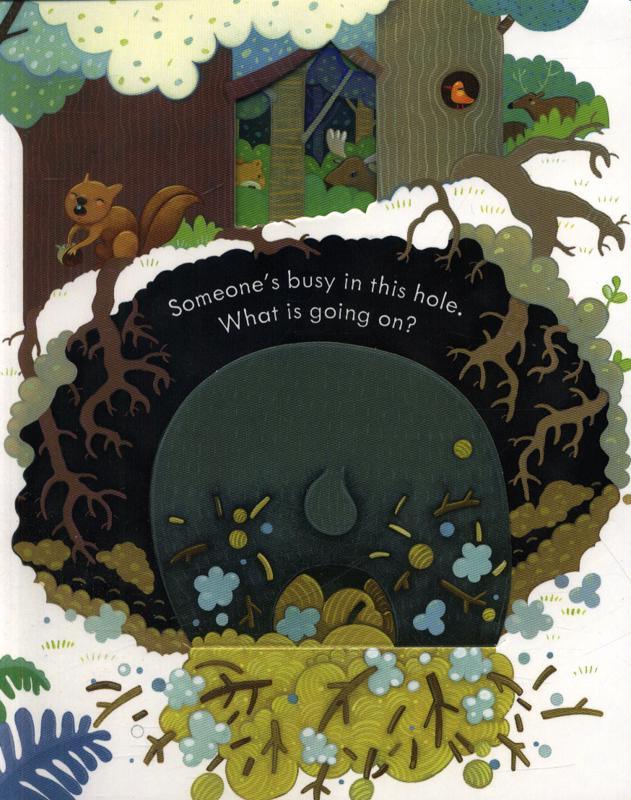 USBORNE - Peep Inside - Forest - Spectrawide Bookstore