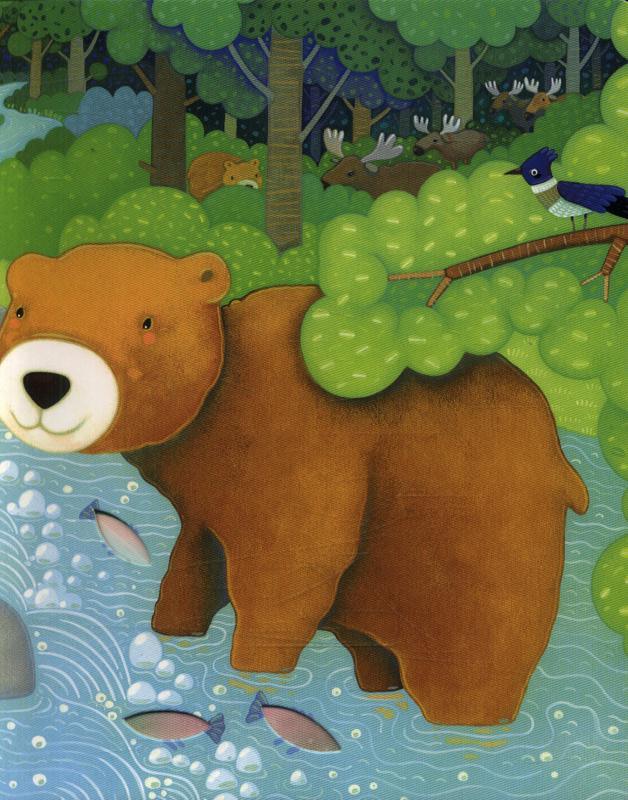 USBORNE - Peep Inside - Forest - Spectrawide Bookstore