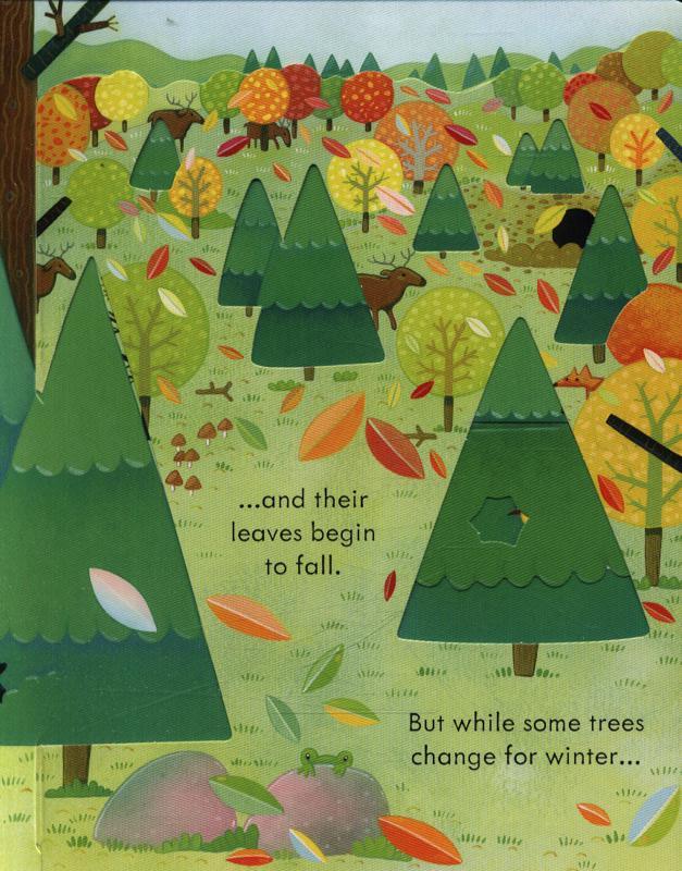 USBORNE - Peep Inside - Forest - Spectrawide Bookstore