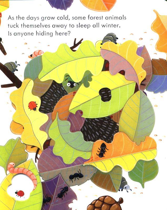 USBORNE - Peep Inside - Forest - Spectrawide Bookstore