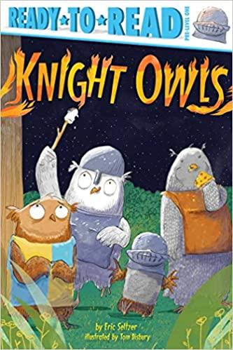 Knight Owls - (Ready-to-Read, Pre-Level One) - Spectrawide Bookstore