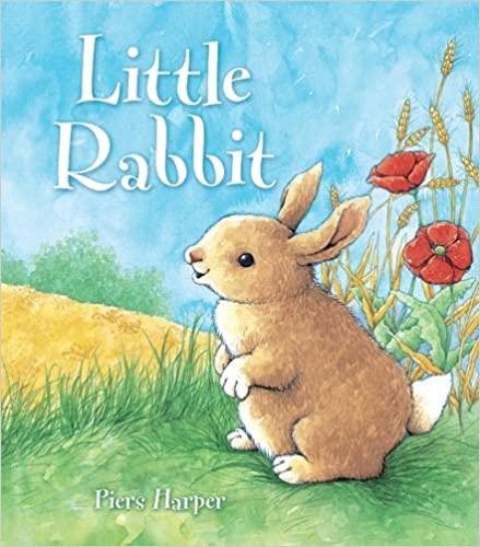 Little Rabbit - Spectrawide Bookstore