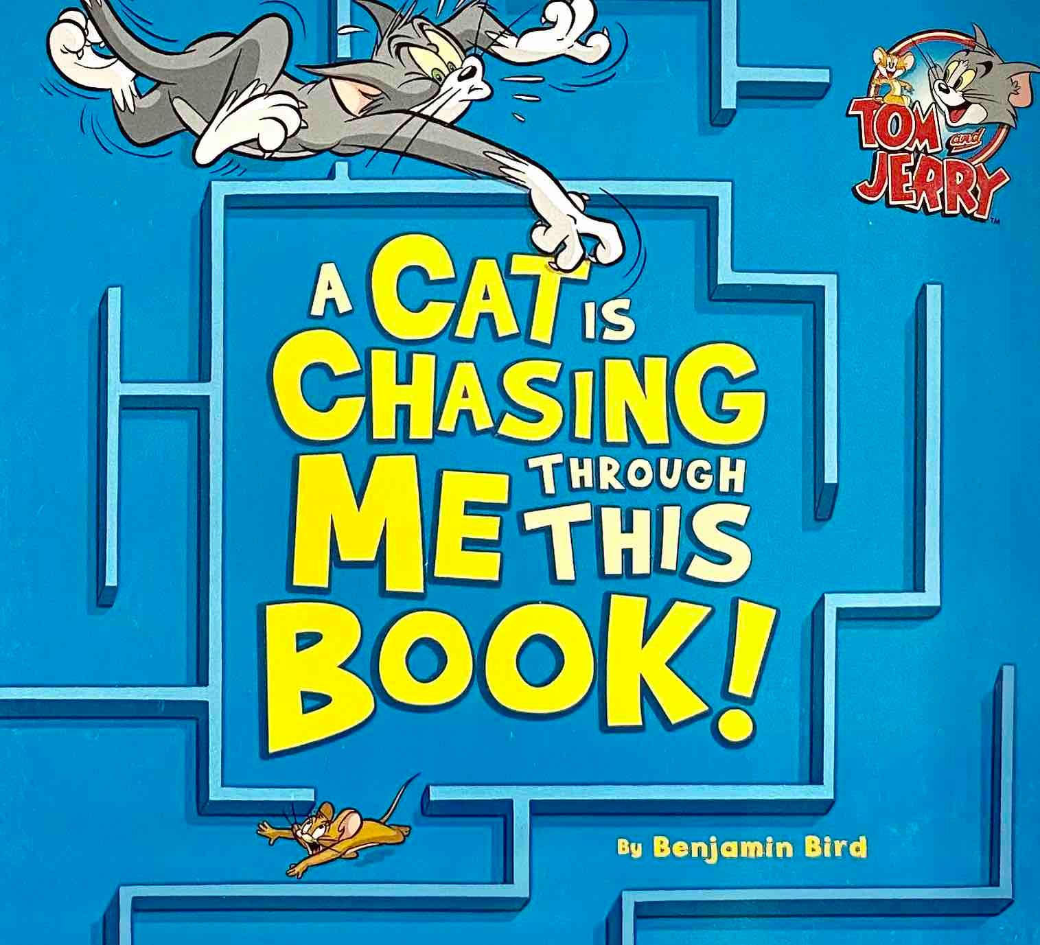 A Cat is Chasing Through Me This Book - Spectrawide Bookstore