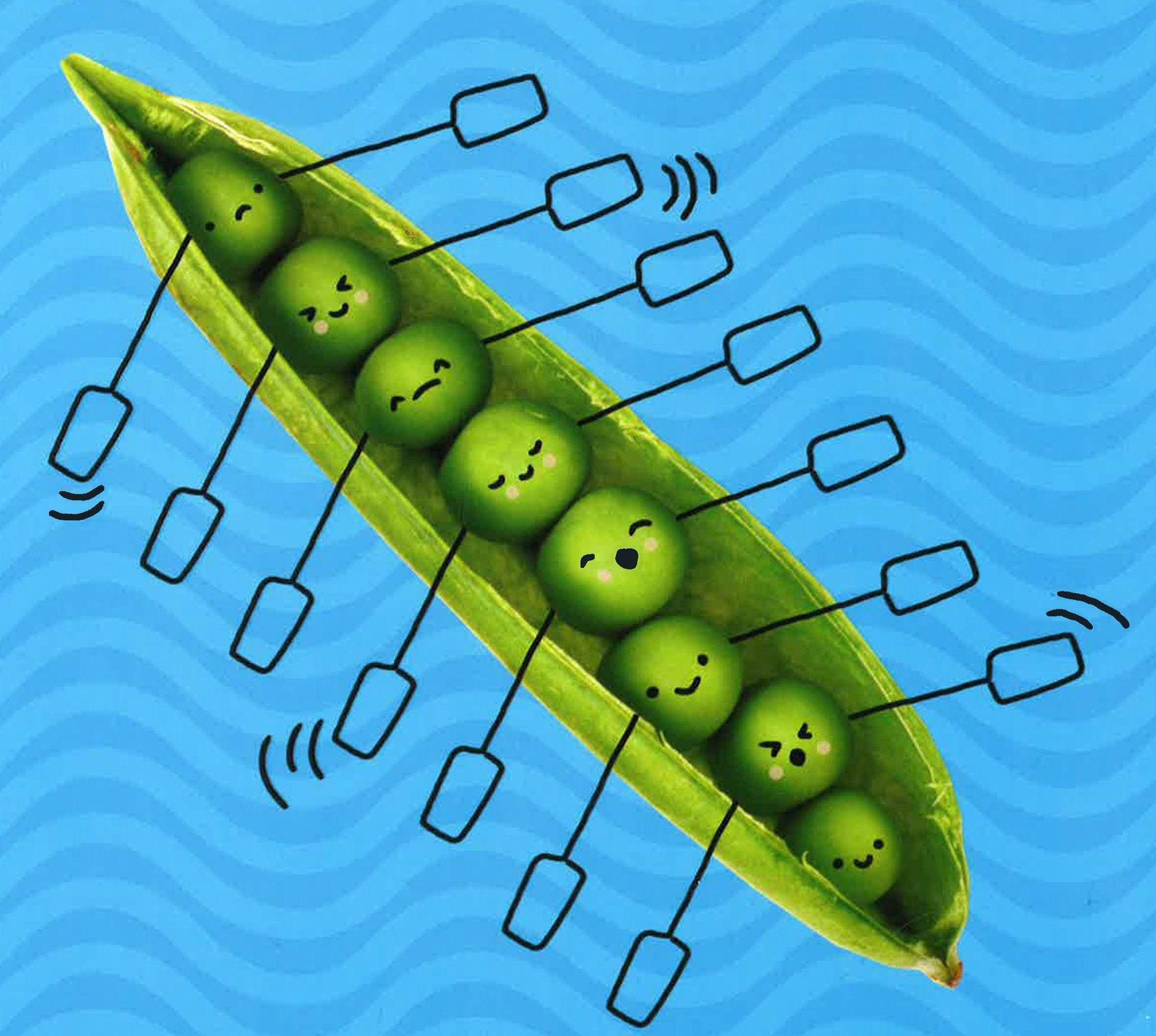 We Are A Family - Spectrawide Bookstore