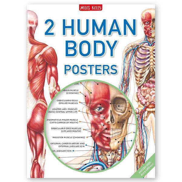 HUMAN BODY POSTER PACK - Spectrawide Bookstore