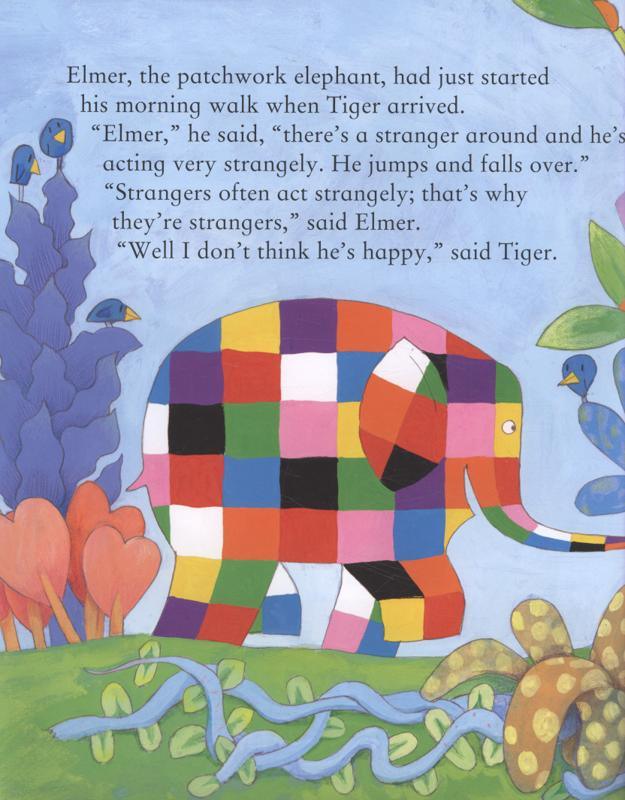 Elmer and the Stranger - Picture Book - Spectrawide Bookstore