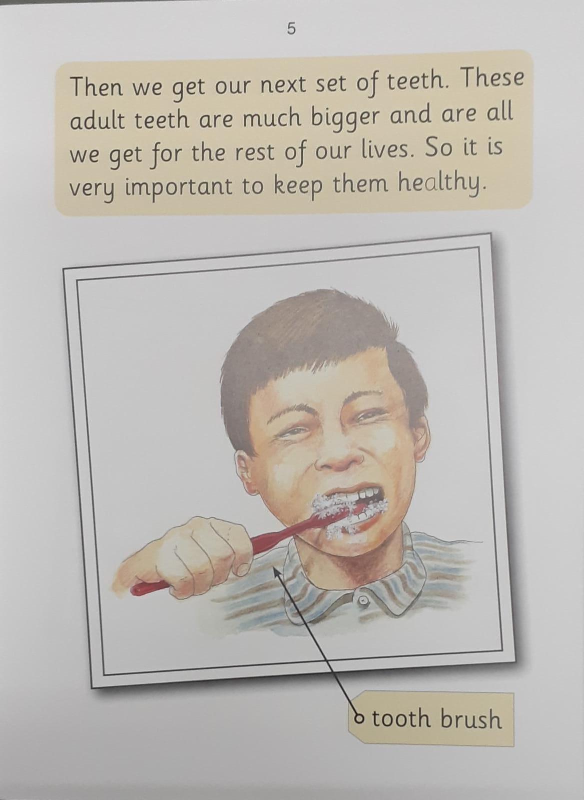 Jolly Phonics Teeth - (Nonfiction) - Spectrawide Bookstore