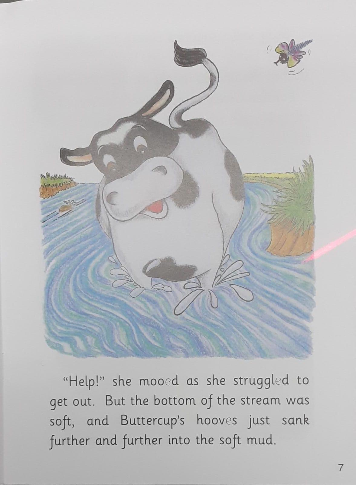 Jolly Phonics - Daisy and Buttercup - Spectrawide Bookstore