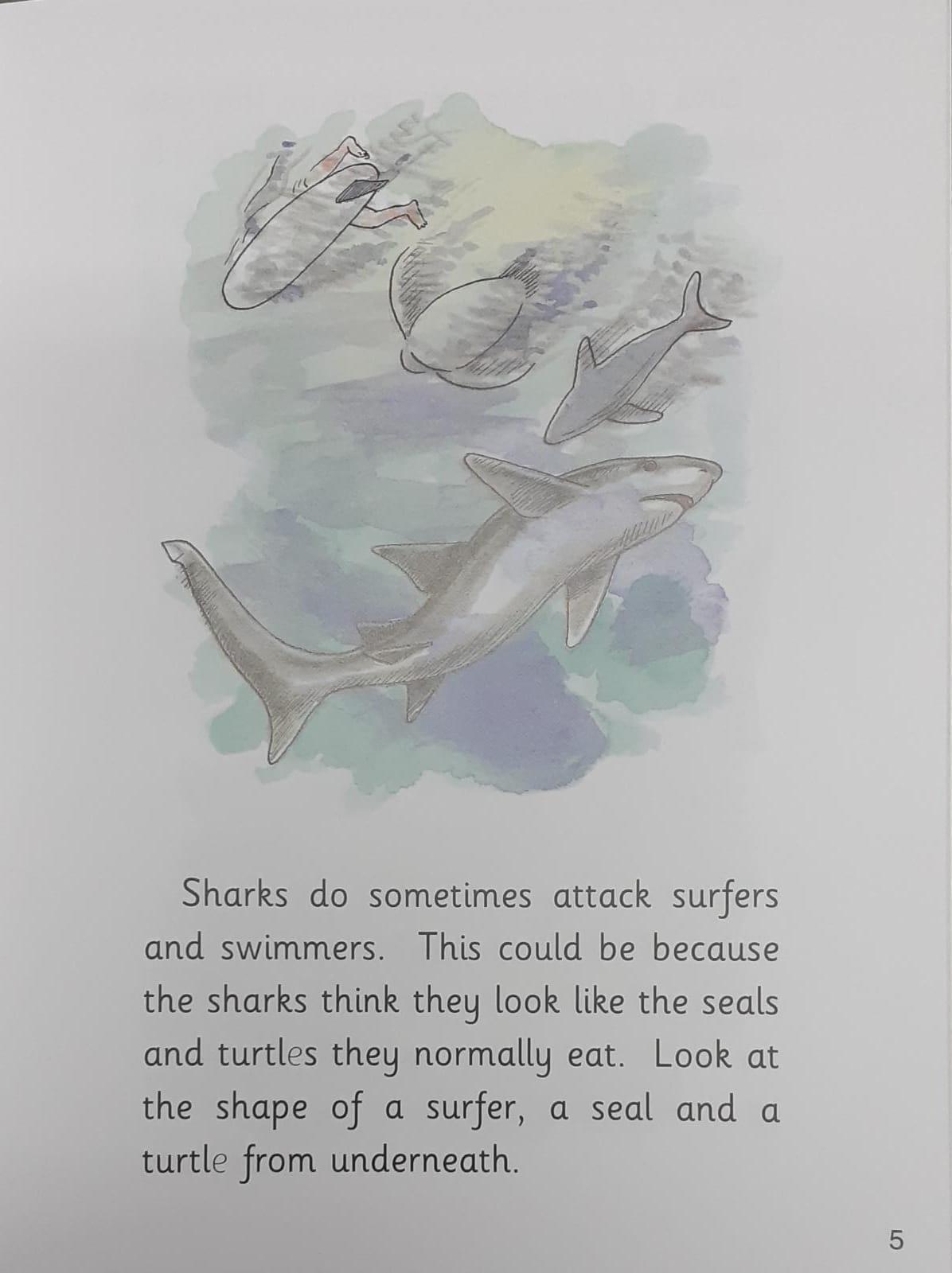 Jolly Phonics - Shark - Spectrawide Bookstore