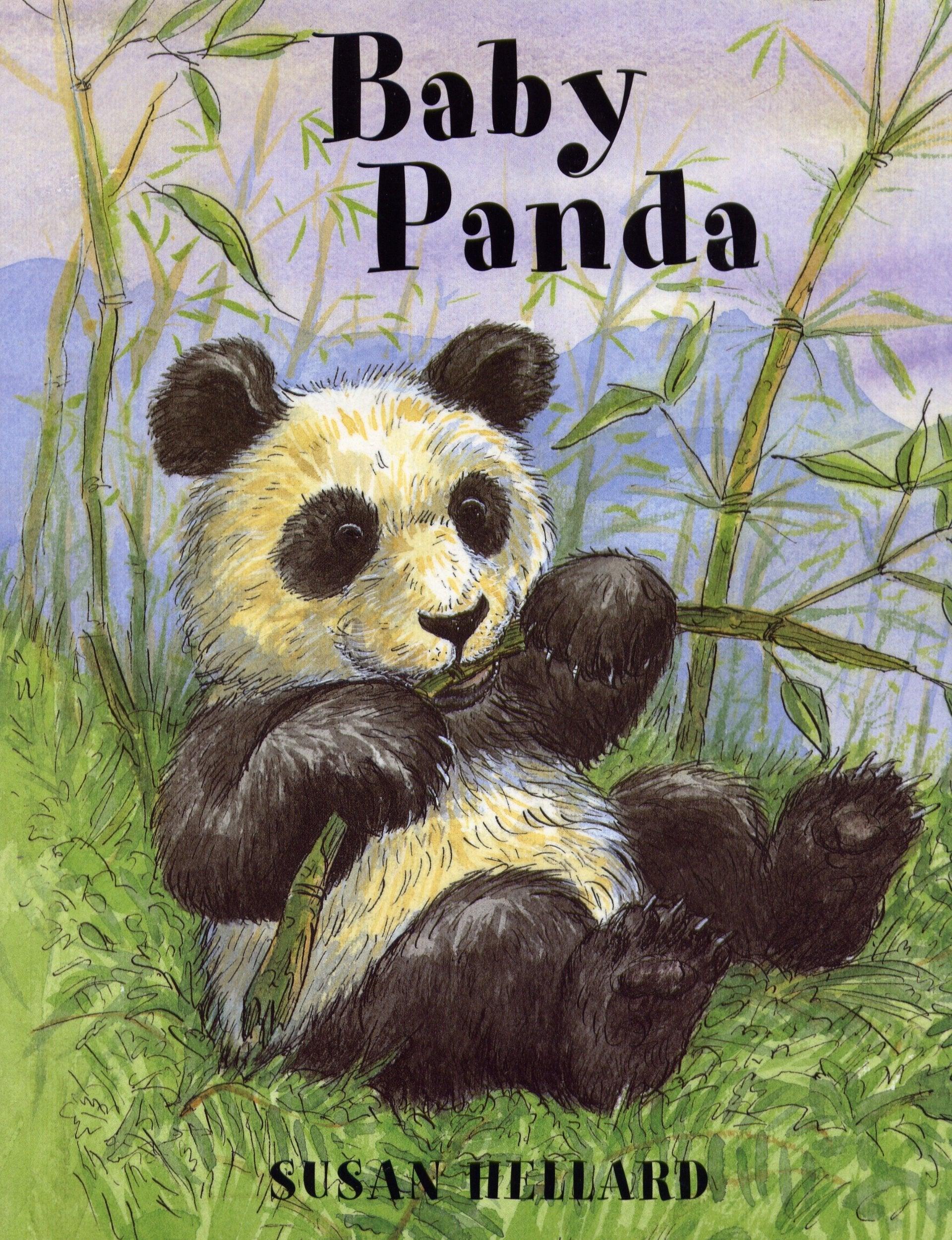 Baby Panda - Spectrawide Bookstore