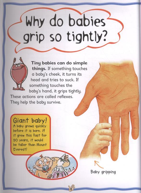 Miles Kelly - Human Body: Why Do Knees Bend? ( First Questions and Answers) - Spectrawide Bookstore