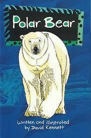Solo Wildlife - Polar Bear - Spectrawide Bookstore