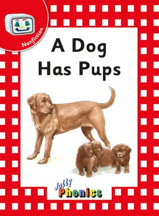 Jolly Phonics - A Dog Has Pups (Nonfiction) - Spectrawide Bookstore