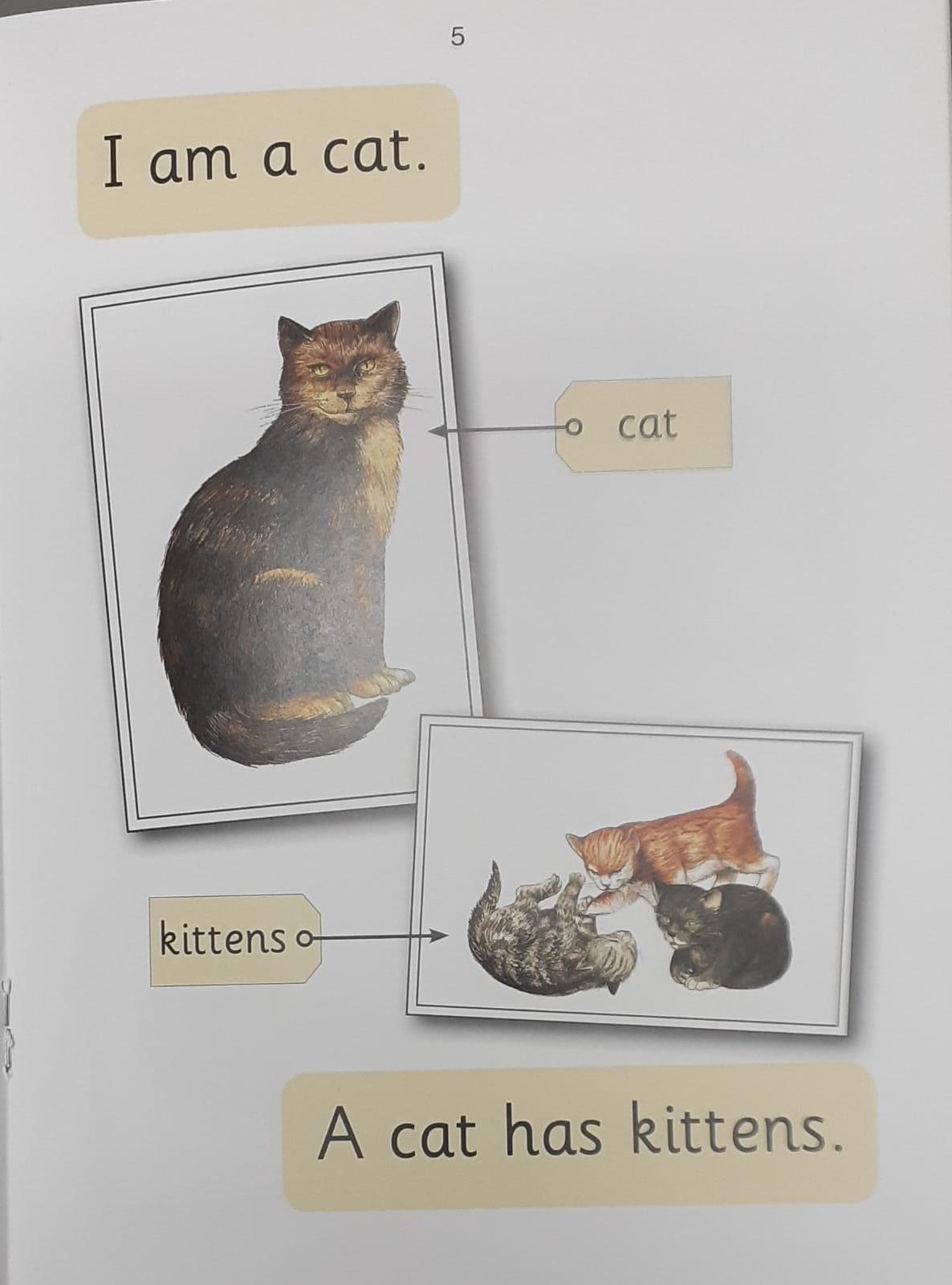 Jolly Phonics - A Dog Has Pups (Nonfiction) - Spectrawide Bookstore