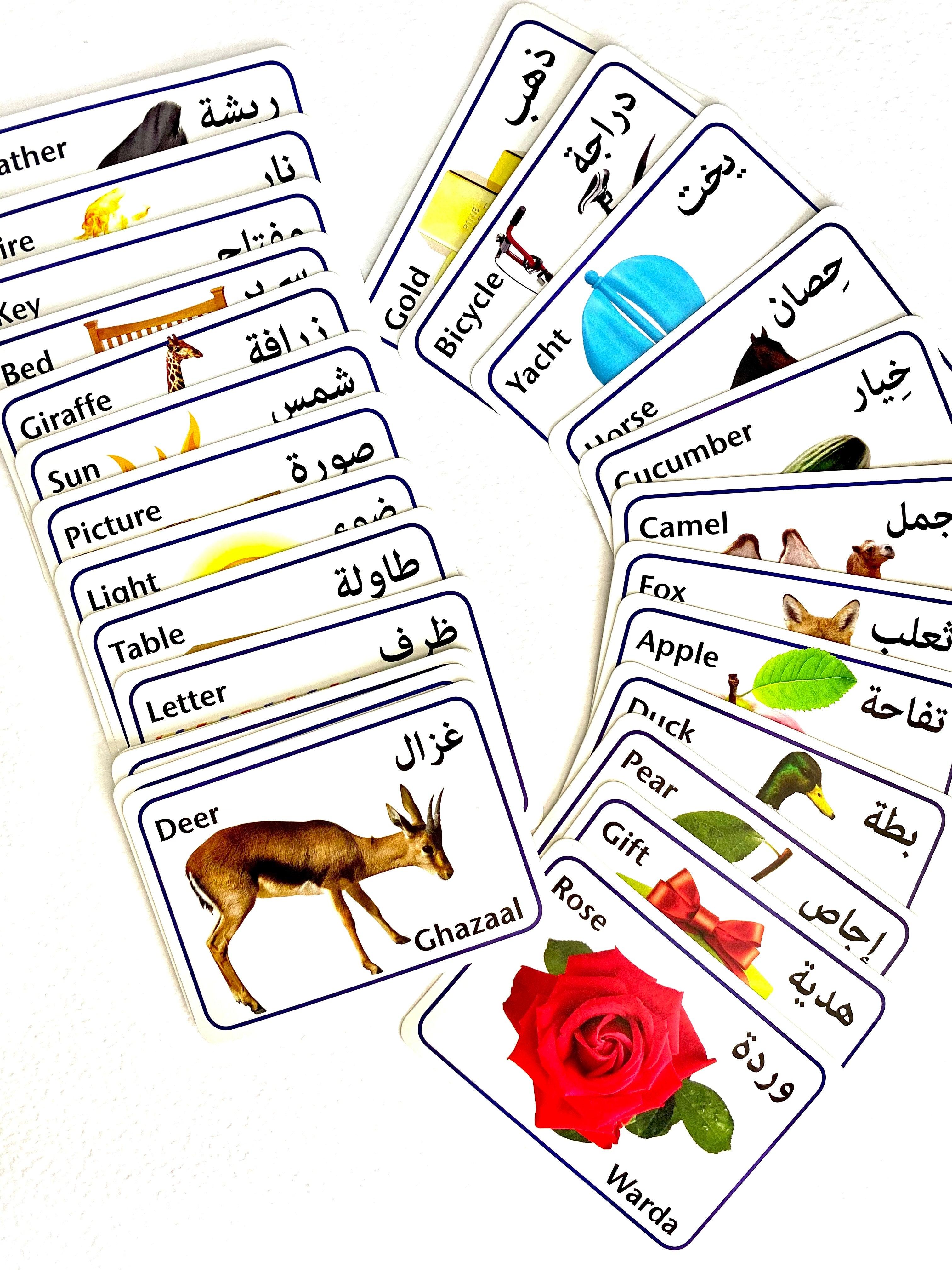 Arabic Alphabet Bilingual Flash Cards - 28 Flash Cards - Spectrawide Bookstore