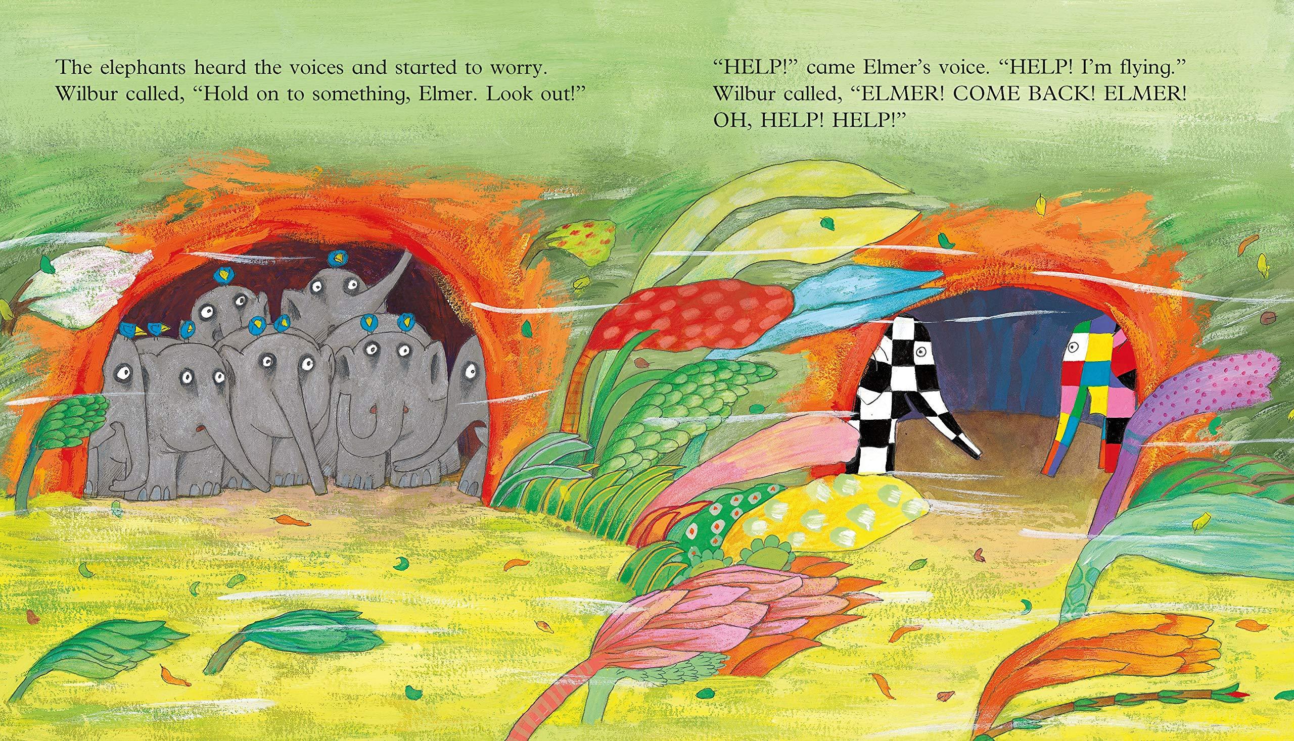 Elmer and the Wind - Picture Book - Spectrawide Bookstore