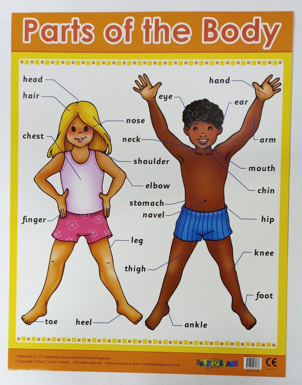 Basic Part Body Chart Charts - Parts of the Body Chart - الرسوم البيانية - أجزاء من مخطط الج