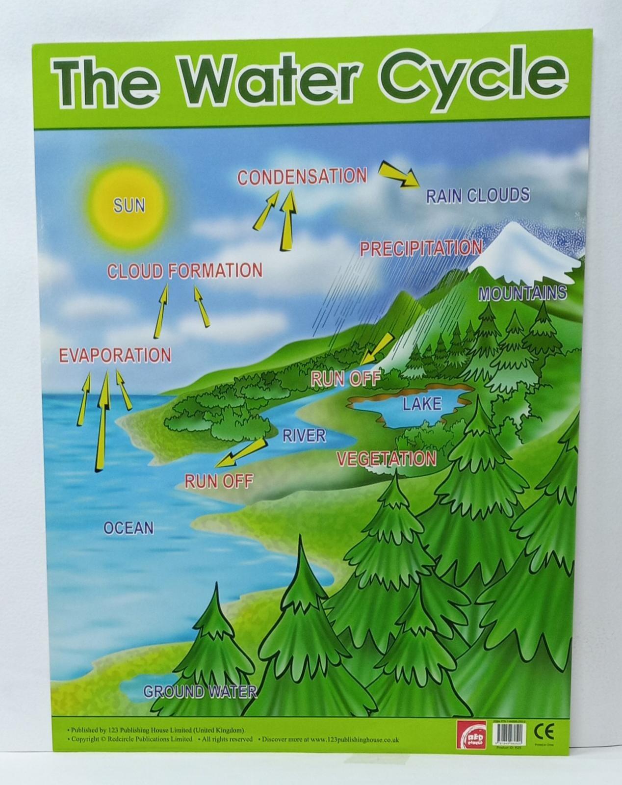 Charts - The Water Cycle Chart - Spectrawide Bookstore