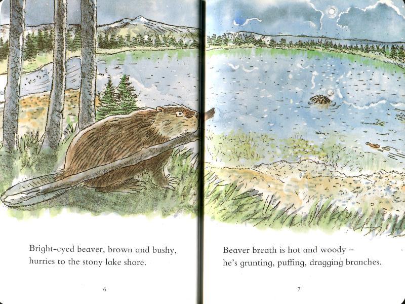 Read And Discover - Think Of A Beaver - Spectrawide Bookstore