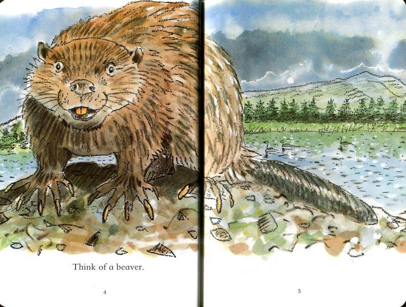Read And Discover - Think Of A Beaver - Spectrawide Bookstore