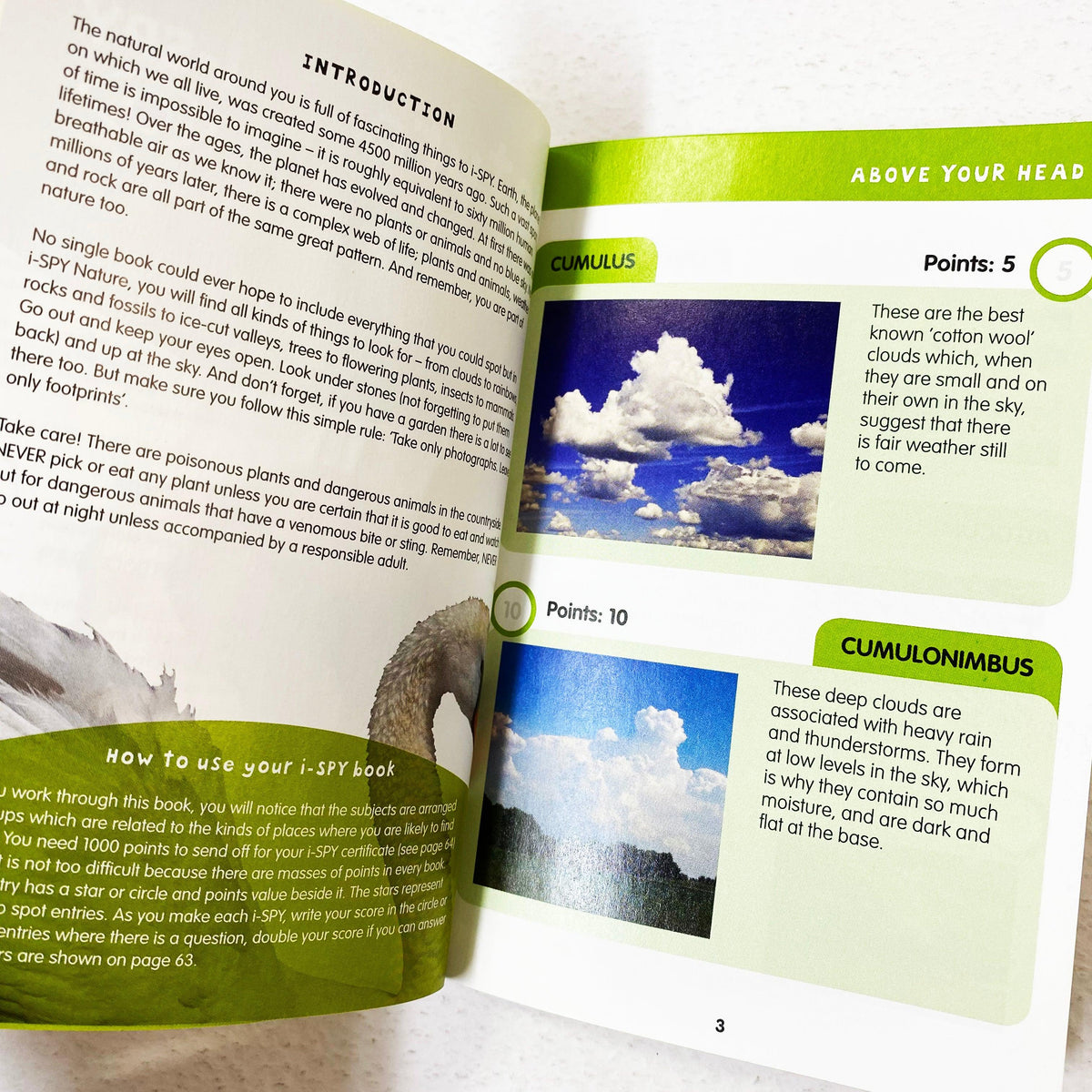 i-SPY Nature: What Can You Spot? - Spectrawide Bookstore