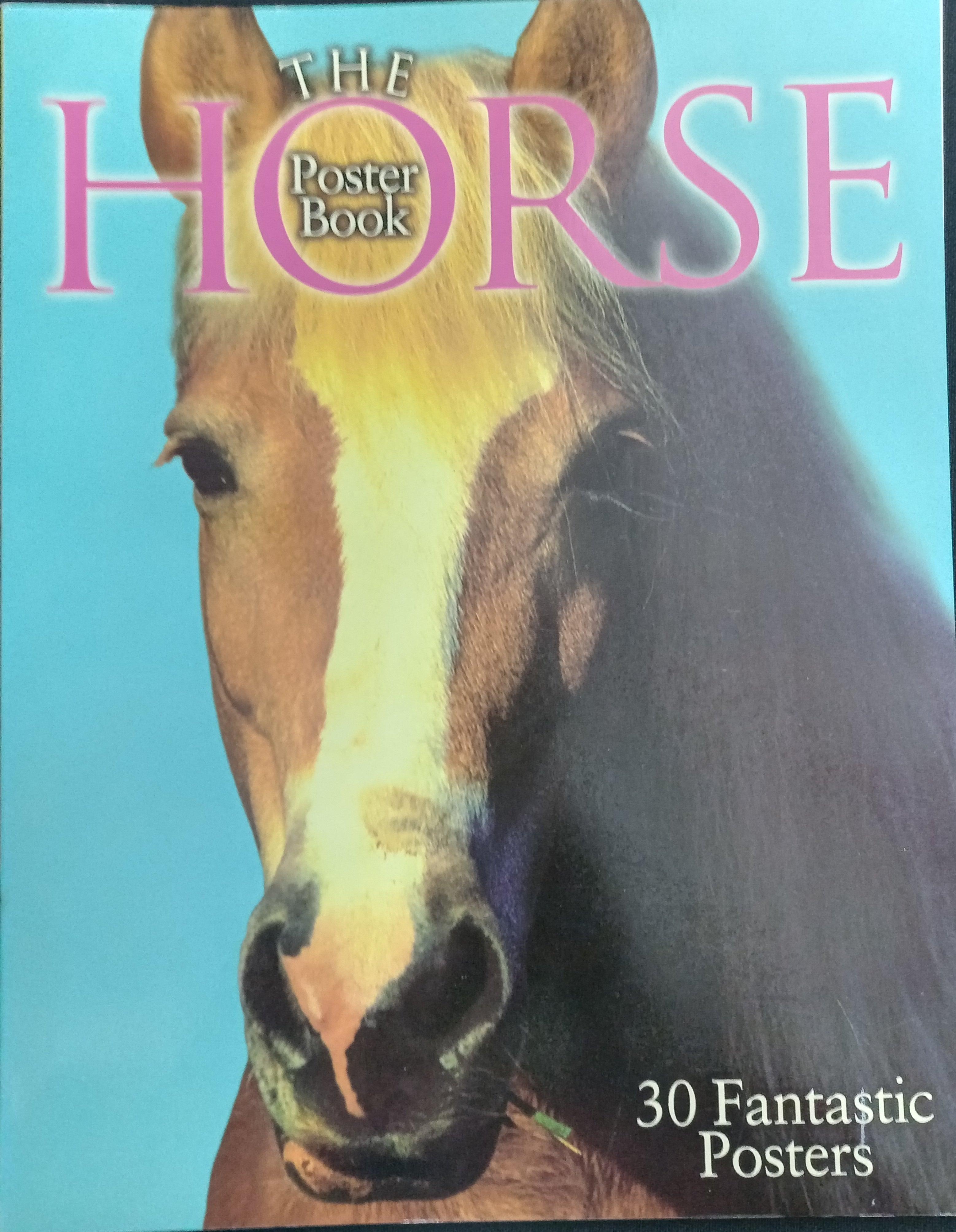 The Horse Poster Book - 30 Fantastic Posters - Spectrawide Bookstore