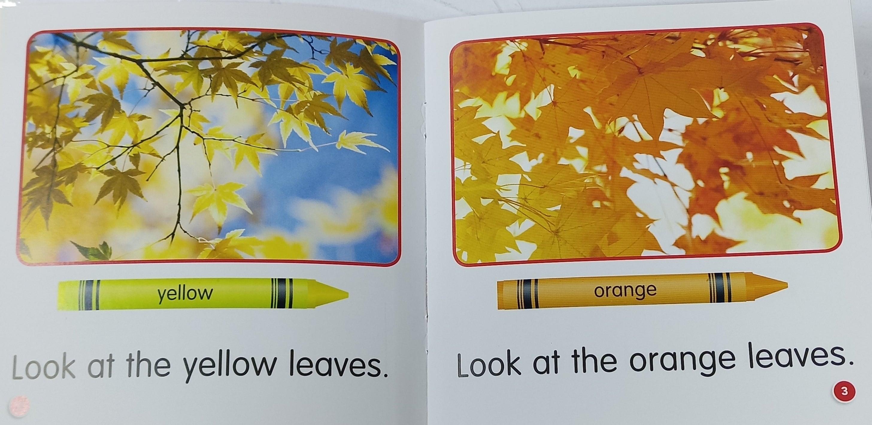 Scholastic Guided Science Readers Set 2 (12 booklets) - Spectrawide Bookstore