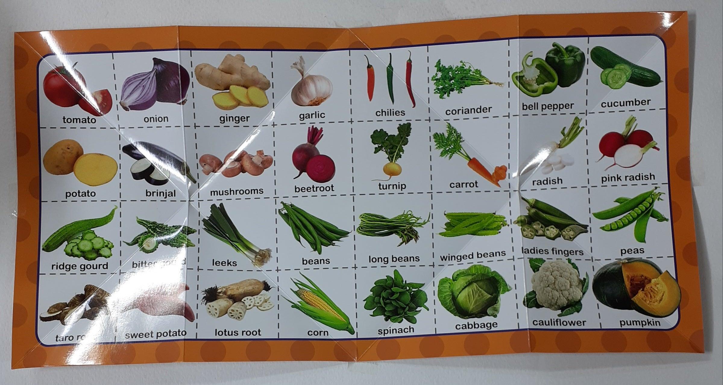 Vegetables - Fold Out - Learning the Fun Way - Spectrawide Bookstore