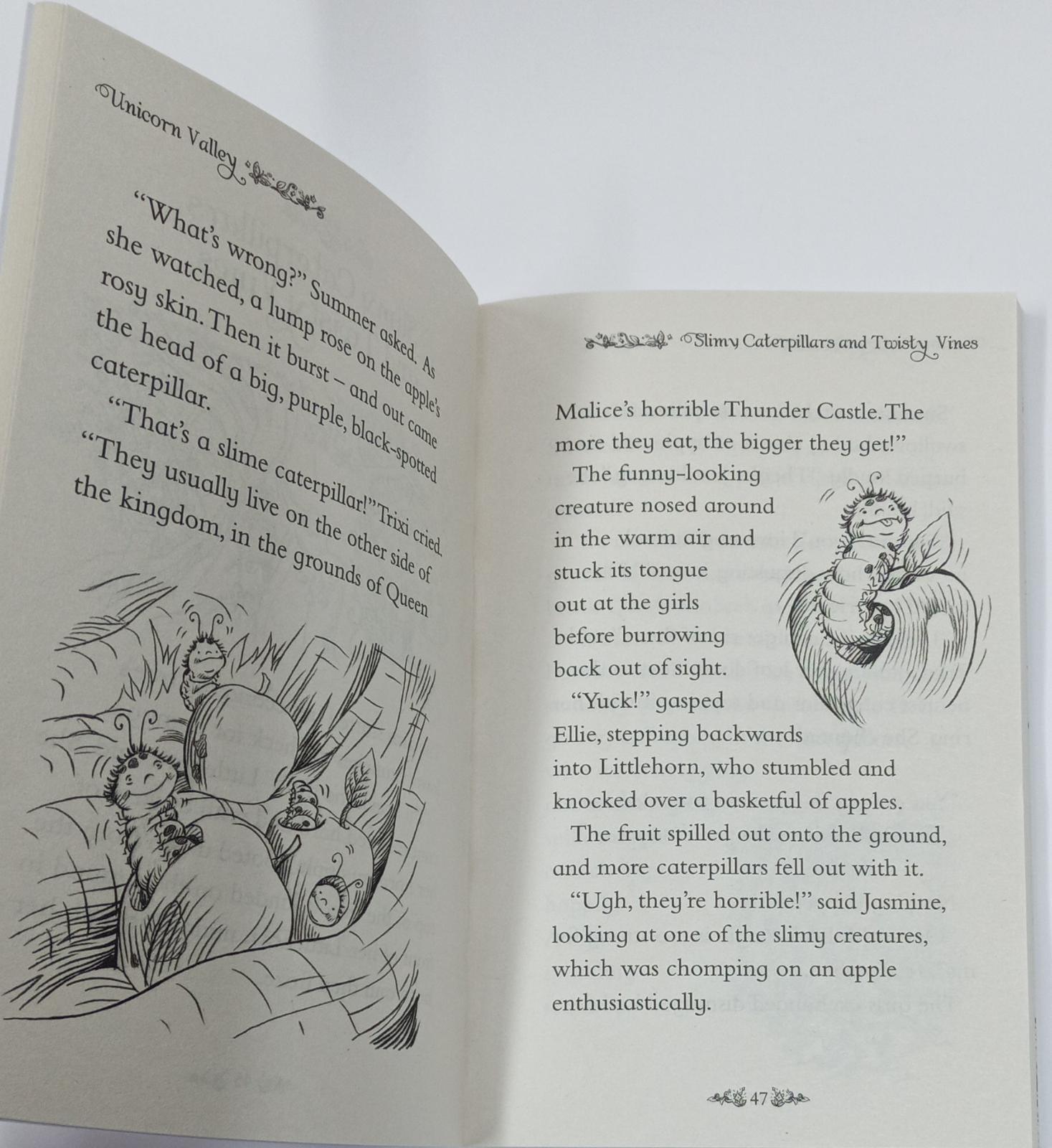 Secret Kingdom #02 - Unicorn Valley - Spectrawide Bookstore