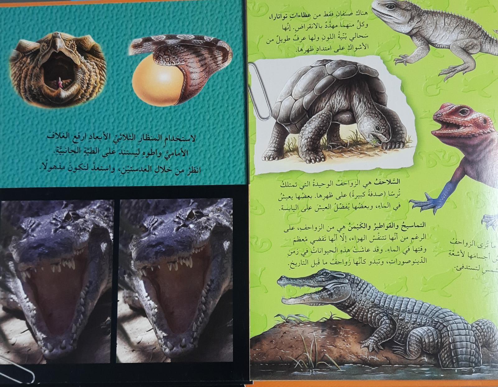 الزواحف اكتشف بالمنظار الثلاثي الأبعاد - Reptiles Discovered By 3D Endoscope - Spectrawide Bookstore