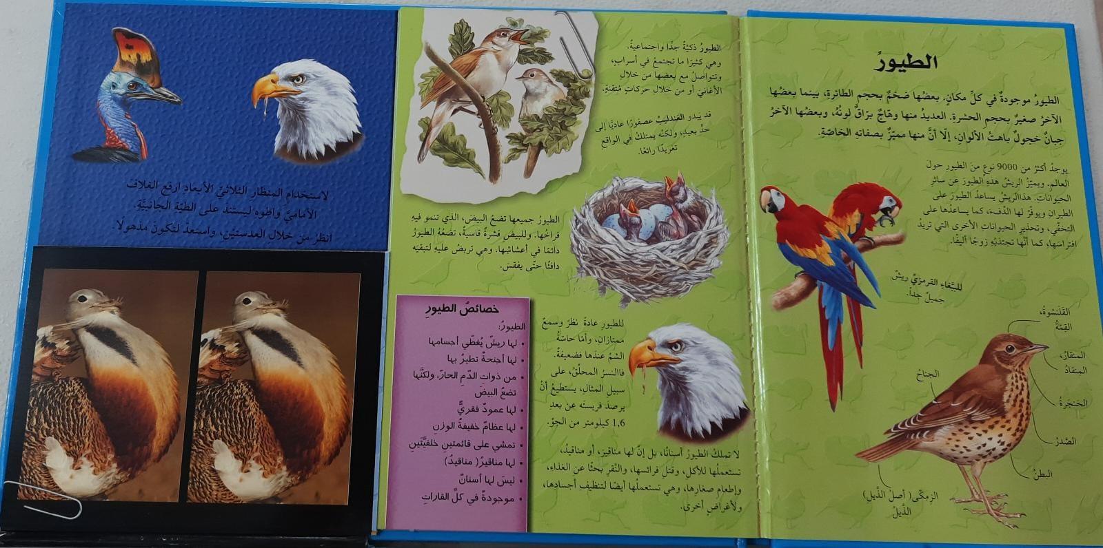 اكتشف بالمنظار الثلاثي الابعاد - الطيور - Explore The 3D Birds - With Endoscope - Spectrawide Bookstore