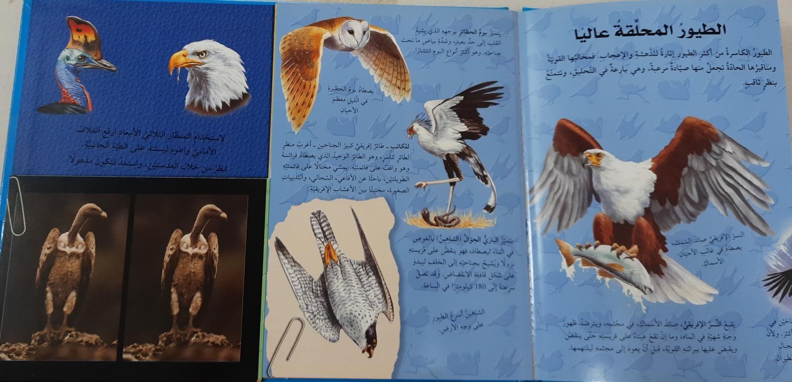 اكتشف بالمنظار الثلاثي الابعاد - الطيور - Explore The 3D Birds - With Endoscope - Spectrawide Bookstore