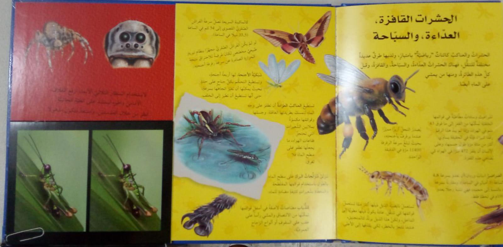 اكتشف بالمنظار الثلاثي الأبعاد الحشرات و العناكب - Discover With A 3D Endoscope Insects And Spiders - Spectrawide Bookstore