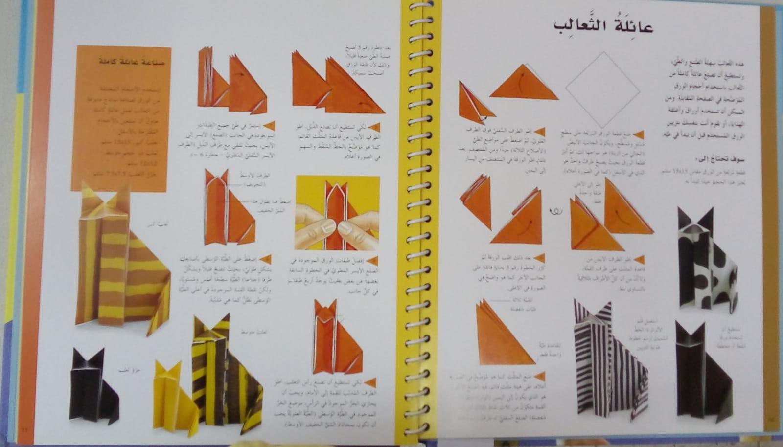 المهارات التطبيقية في الاوريجامي - Origami and Other Paper Projects - Spectrawide Bookstore
