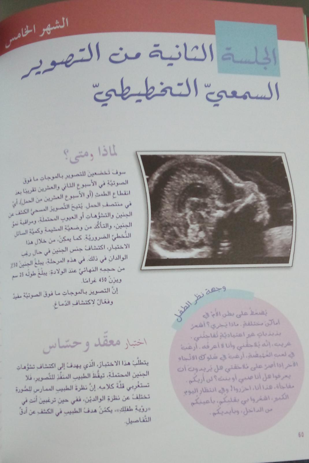 يوميات المرأة الحامل - Diary Of A Pregnant Woman - Spectrawide Bookstore