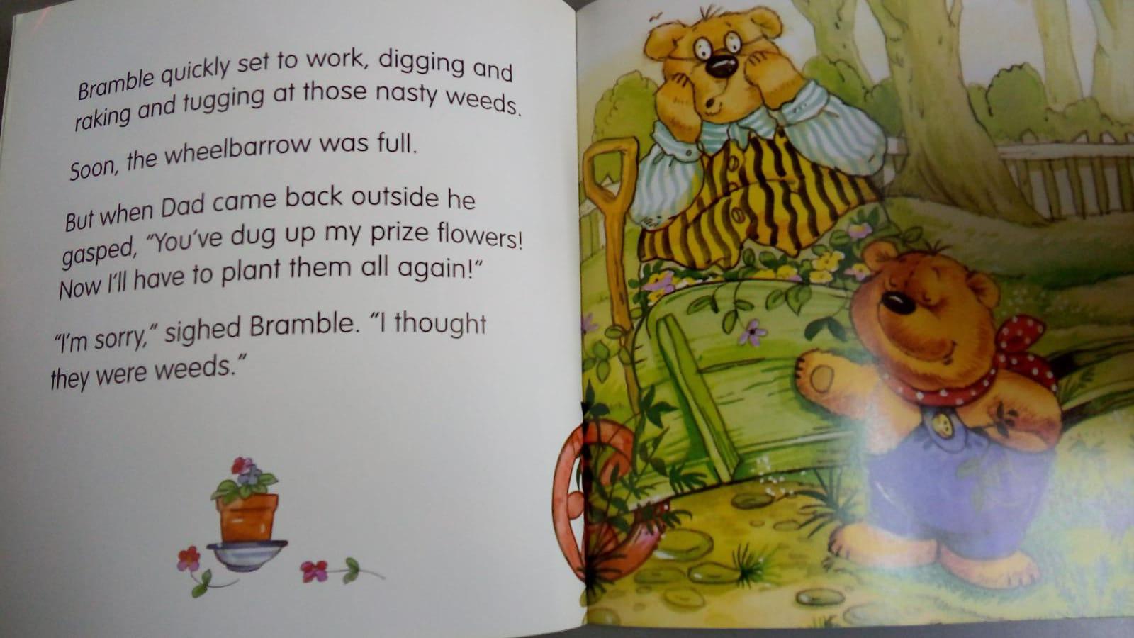 A Brimax Classic - Bramble Bear - Can I Help? - Spectrawide Bookstore