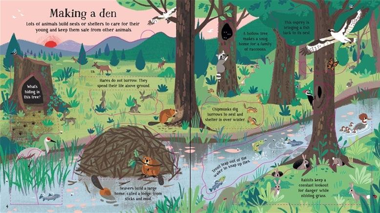 USBORNE - Look Inside - Nature - Spectrawide Bookstore