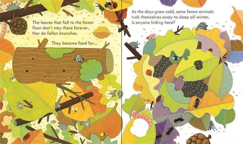 USBORNE - Peep Inside - Forest - Spectrawide Bookstore