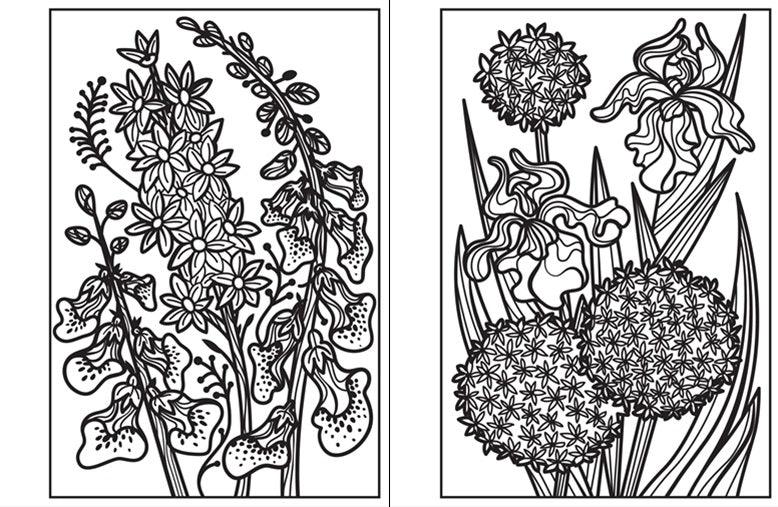 USBORNE - Magic Painting Flowers - Usborne Minis - Spectrawide Bookstore