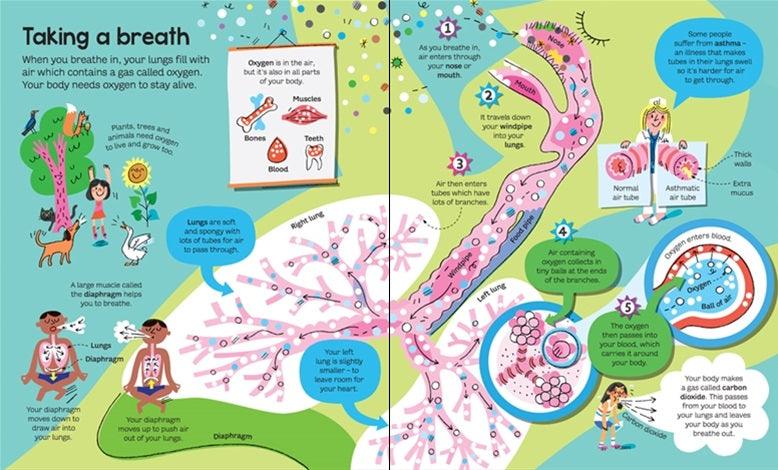 USBORNE - Big Book of the Body - Big Books - Spectrawide Bookstore