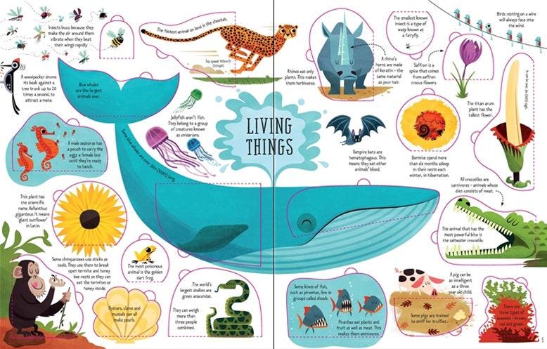 USBORNE - Lift-the-flap General Knowledge - Spectrawide Bookstore